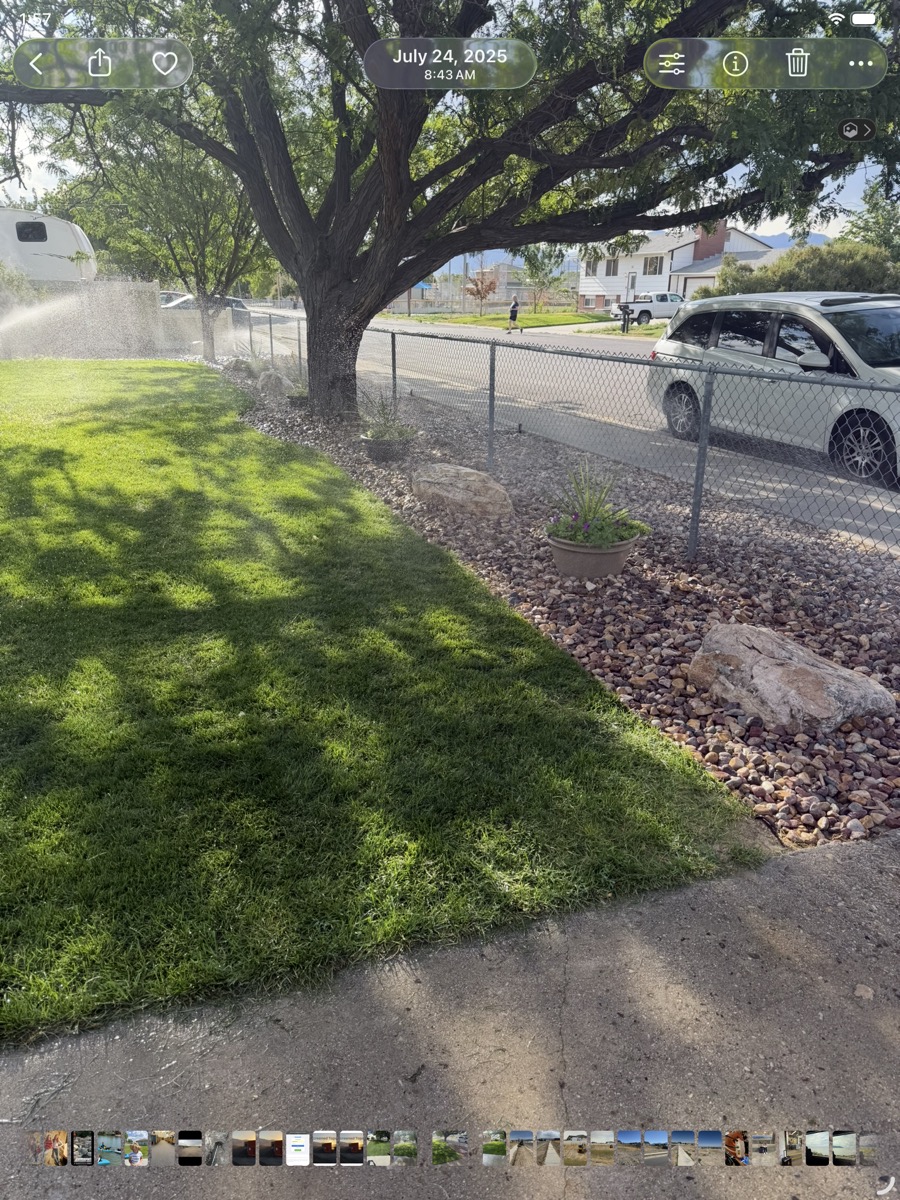 Finished lawn with sprinklers running and rock border
