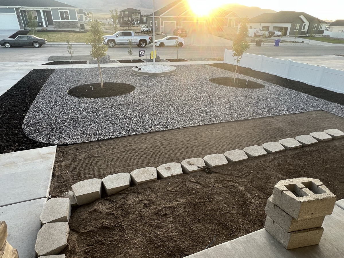 Xeriscape with tree rings and gravel at golden hour