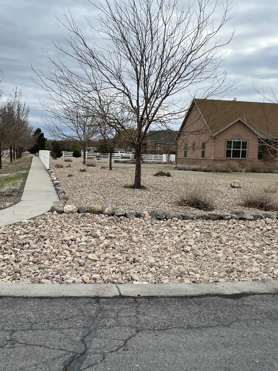 Street-view xeriscape with curb appeal